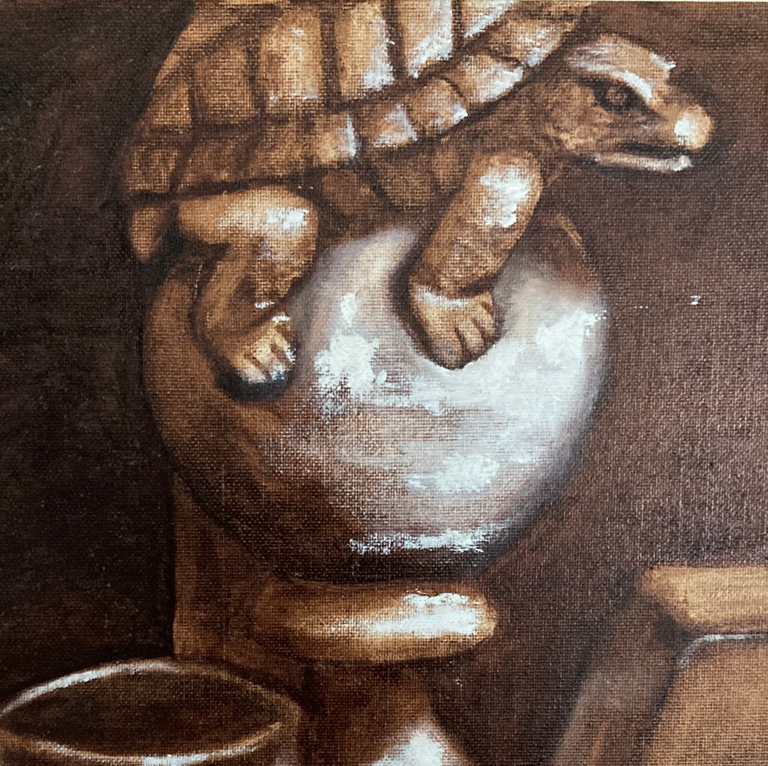 Turtle still life